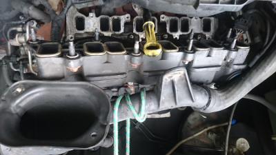 You can just see the ribbed glow plug harness between the 2 sets of holes