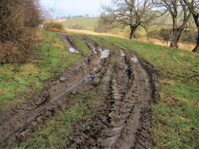 this sort of stuff<br />favoured running conditions of Citrojim