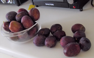 Plums.JPG