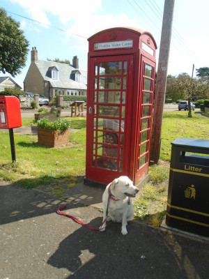 nf own work<br />Branxton Northumberland