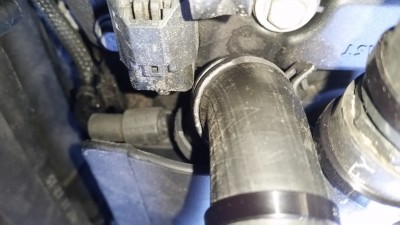 tmp_26079-20170421_162658-1055421521.jpg