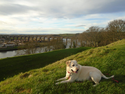 Nice places to stop off at<br />Berwick-upon Tweed NF own work