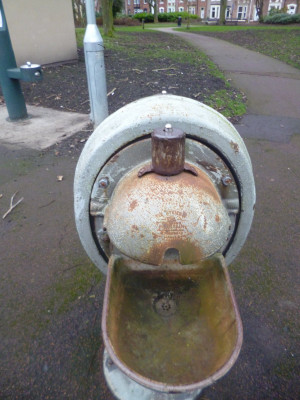 The &quot;Hygenic Spa Drinking Fountain&quot;