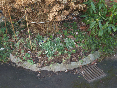 AA040012.JPG