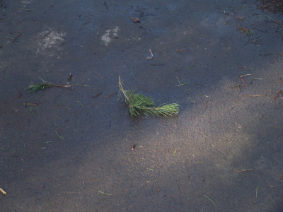 AA160022.JPG