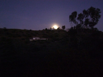 DSCF3687.JPG