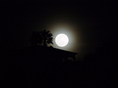 DSCF3684.JPG