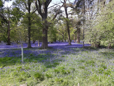 Own work, near to Henley Business College.