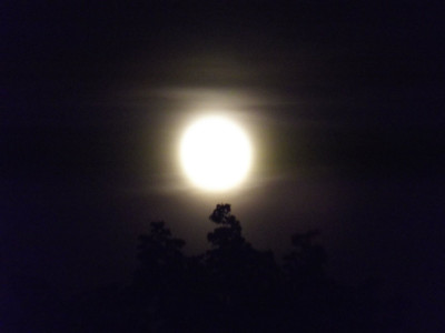 Own work
