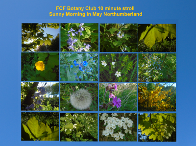 nf own work 14/05/2020