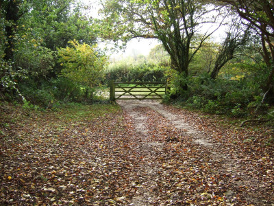 Bottom gate 010.jpg