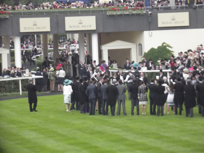 Own Work.  This was that occasion.  Estimate won the 2013 Gold Cup, making it the first time a reigning UK monarch had won the Gold Cup.  Her GRIN was lovely to see.