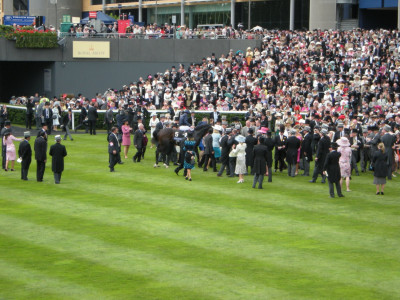 Own work.  In 2009 Yeats won The Gold Cup for a historic fourth time.  The roar that went up has only been bettered on one occasion.