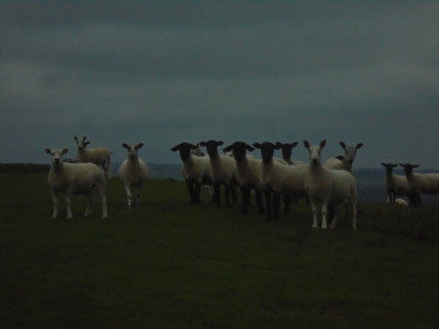 Go on then<br />We're Listening