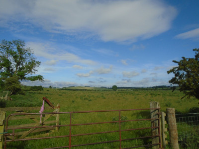 Blue sky and white clouds