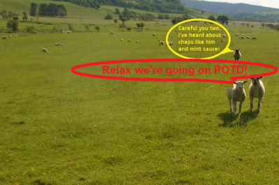 famous lambs