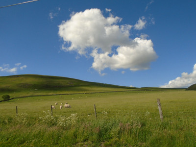 DSC03239.JPG