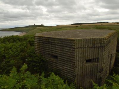 corrugated iron shuttering?