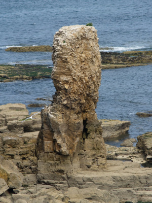 Rock pillar