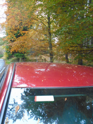 Autumn leaf Nissan