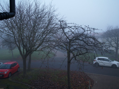 AA010285.JPG