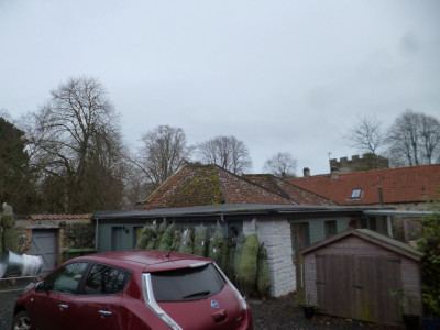 Coffee Cake and Christmas tree<br />Three-in-one down at Craster