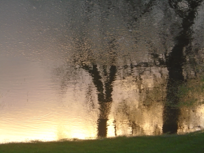 puddle photography number 2