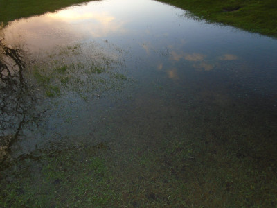 3 puddles too much?