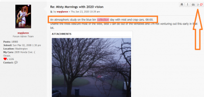 An atmospheric study on the blue bin collection day with mist and crap cars. 08:00.