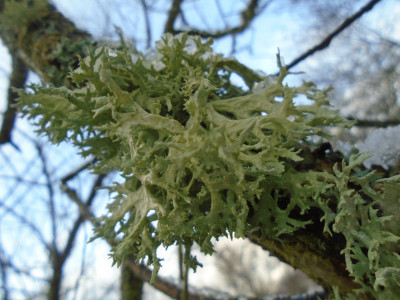 DSC04748.JPG