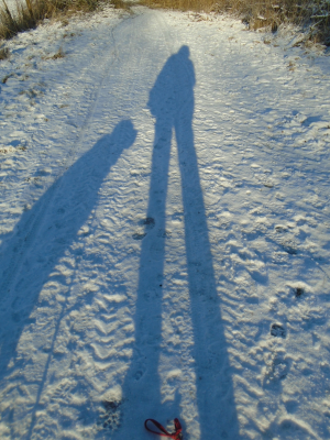 one man and his dog shadow