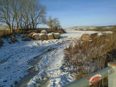 View from the RITCHIE (Forfar Scotland) gate!