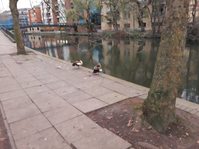 Kennet waterfowl 1