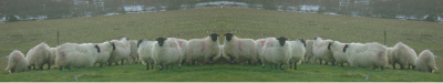 'Cause the free wind is blowing through your...fleece