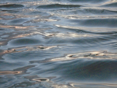 wind waves on floodwater pool