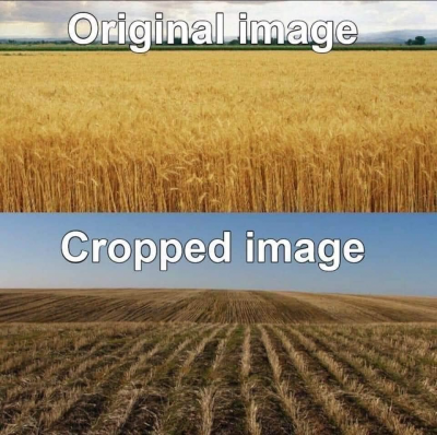 1610889991210.png