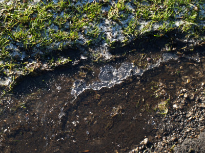 AA010354.JPG