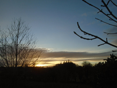 Dog walk Sunset