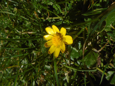 one to identify