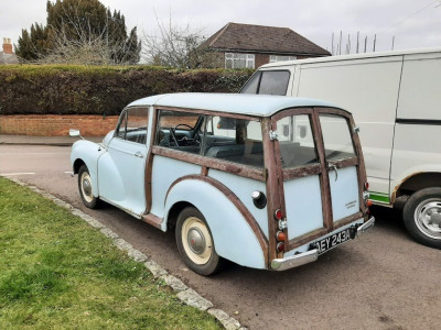 moggy1.jpg