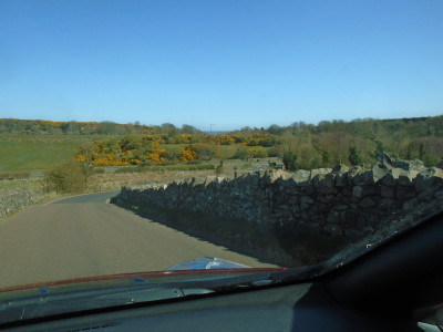 lookin through the window<br />Gorse was in full bright yellow bloom today