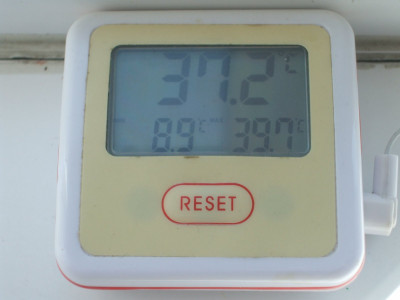 DSCF3243.JPG