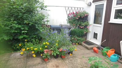 Our idea of a kitchen garden!