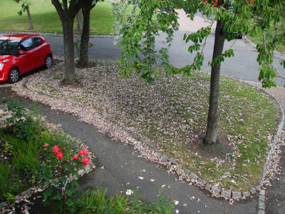DSCF3291.JPG