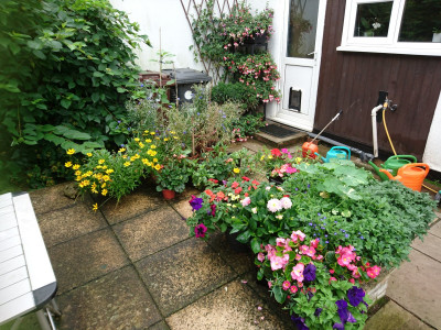 SWMBO's idea of a kitchen garden!!