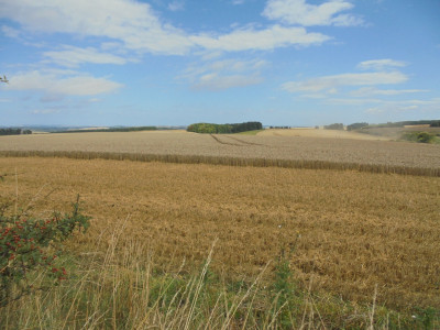 Scotland is leftish, England centre rightish and that's nowt to do with politics :-D