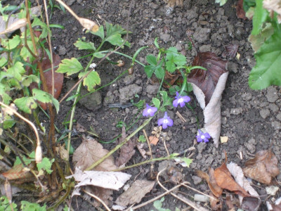 DSCF3317.JPG