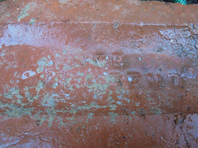 NCB Wallsend, probably one of 5 or 6 different named bricks from the same site.