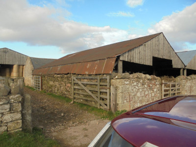 The corrugated iron roof