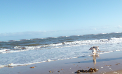 Plenty of Tidal, Plenty of Solar, and just a touch of  chilly wind at Druridge today.